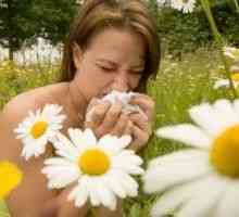 Алергия лято при деца, при възрастни, лечение