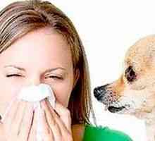 Алергии към животни, при деца и при възрастни