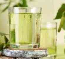 Birch сок - ползите и вредите от бреза сок