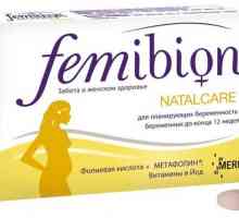 Колко полезна витамини за бременни femibion?