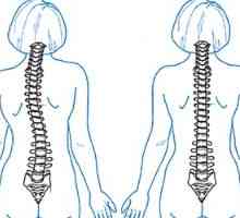 Какво ще хиропрактика за болки в гърба?