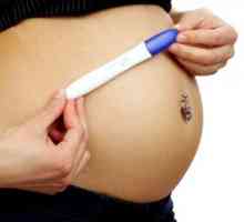 Колко може да направи тест за бременност