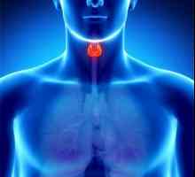 Което означава увеличаване на щитовидната жлеза-стимулиращ хормон?