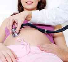 Цитомегаловирус и бременност - има ли опасност за плода?