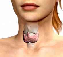 Дифузни промени на щитовидната жлеза