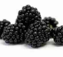 Blackberry - полезни свойства и противопоказания