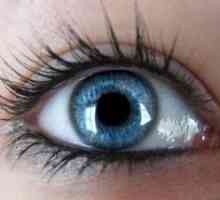Hemophthalmus - да се грижи за вашите очи