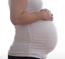 Херпес по време на бременност