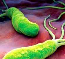 Helicobacter пилори: симптоми и лечение