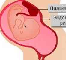 Ендометриума по време на бременност, скоростта на дебелината