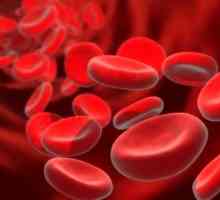 Как да се увеличи хемоглобина в кръвта
