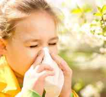 Как мога да разбера какво алергия при дете?