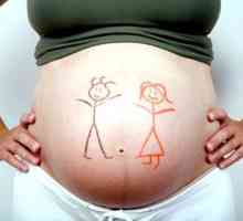 Как да разберете пола на бебето в началото на бременността