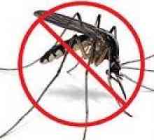 Как да се предпазите от комарите?