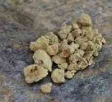Stone масло: терапевтични свойства, прилагане