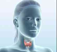 Щитовидната жлеза киста. Причини и лечение