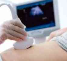 Когато правите първия ултразвук по време на бременност?