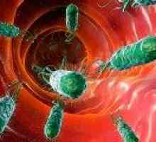 Лечение на Helicobacter Pylori с антибиотици