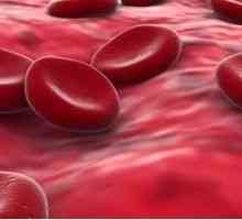 Норма на хемоглобина в кръвта