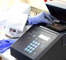 PCR анализ: какво е това?