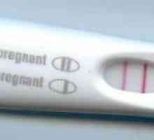 Дали тест извънматочна бременност?
