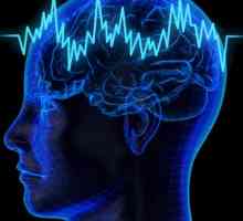 Причини и симптоми на епилепсия