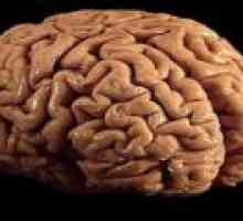 Рак на мозъка - причини, диагностика, прогноза