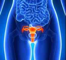 Рак на маточната шийка: продължителност на живота