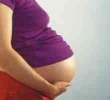 Ранна бременност - дърпа долната част на корема, причините
