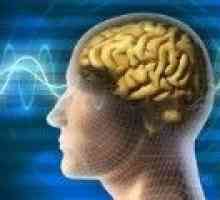 Механизмите за въздействие върху човешкия мозък на Алцхаймер