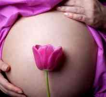 Изчислете продължителността на бременност седмица по седмица-дневен срок от датата на зачеване