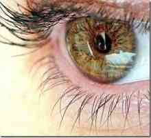 Най-честите заболявания на ретината