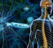 Симптоми и лечение на множествена склероза
