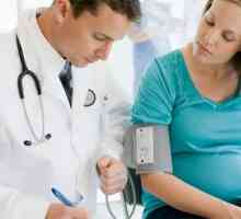 Скрининг по време на бременност: времето на