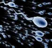 Спермата - подготовка за анализ, правилата за доставка, декодиране