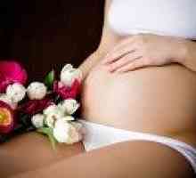 Bright избор на бременността, причини, лечение
