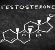 Тестостеронът - в норма и патология