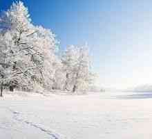 Учените са установили, какво е времето е по-вредно и през зимата!