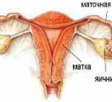 Възпаление на яйчниците - (оофорит) при жените