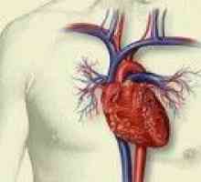 Възстановяване на сърдечна тъкан след инфаркт на миокарда