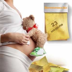 23 Седмица на бременността: Какво става с бебето и майката