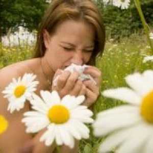 Алергия лято при деца, при възрастни, лечение