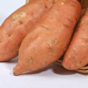 Yam или сладък картоф - описание на полезни свойства, прилагане