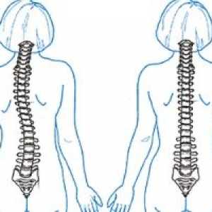 Какво ще хиропрактика за болки в гърба?