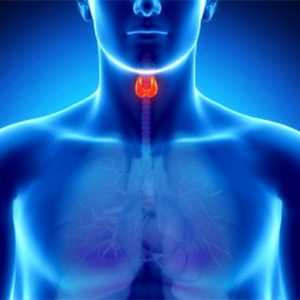 Което означава увеличаване на щитовидната жлеза-стимулиращ хормон?