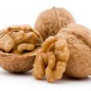 Ореховите: ползи и вреди, полезни свойства