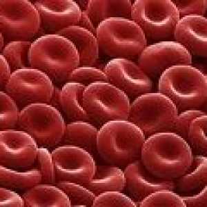Червените кръвни клетки в урината по време на бременност, скоростта, да увеличат