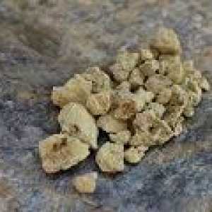Stone масло: терапевтични свойства, прилагане