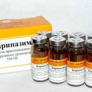 Karipazim в гръбначния херния: за отзивите, наркотици
