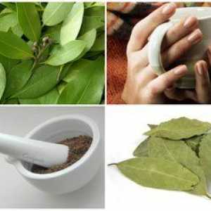 Дафинов лист от акне: рецепти на традиционната медицина